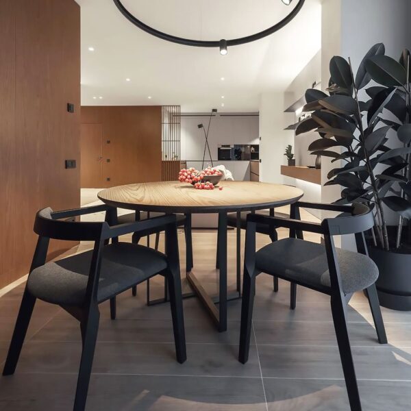 dining chair aero 6